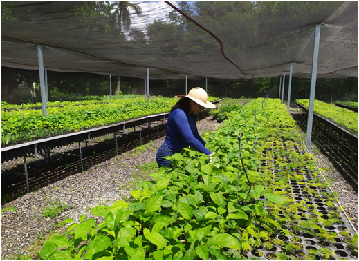 Monitoramento Qualitativo